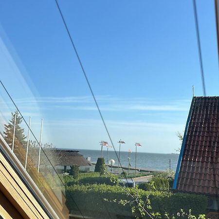 Bangomusa Nida Buitenkant foto